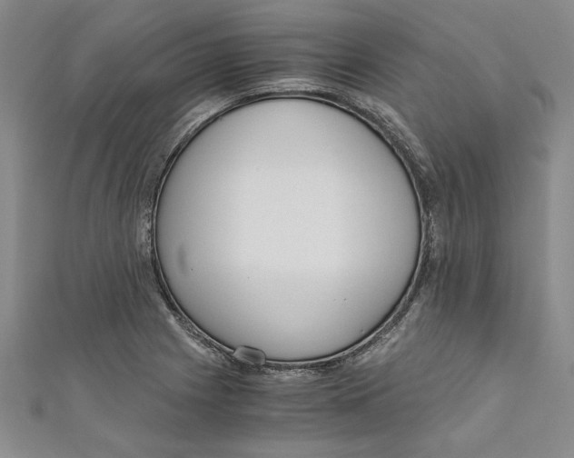 X0000110951225200907171621