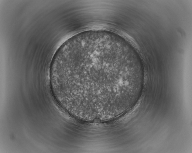 X0000110951226200907171621