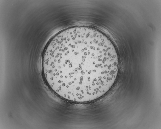 X0000110951227200907171621