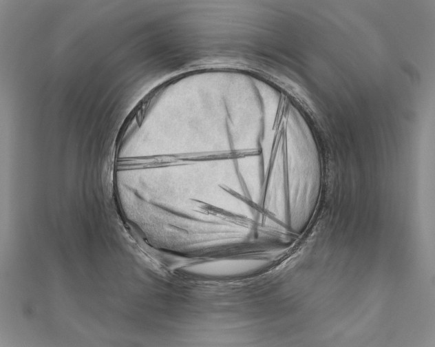 X0000110951228200907171621