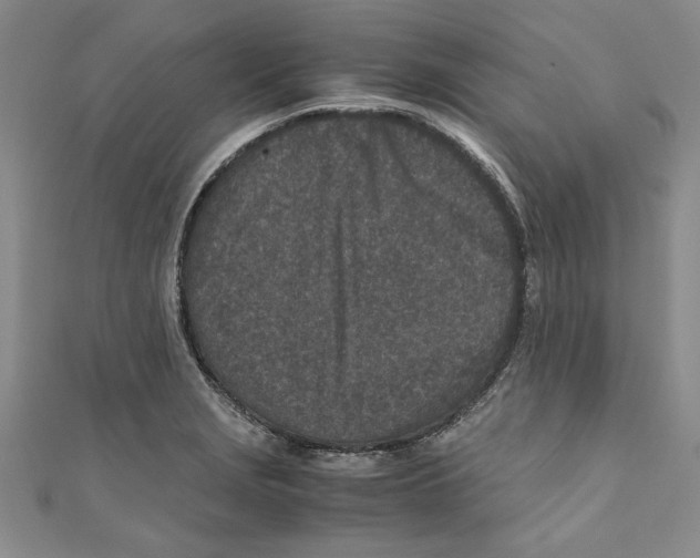 X0000110951229200907171621