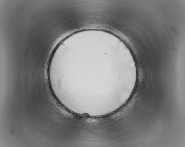 X0000110951230200907171621