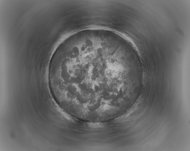 X0000110951231200907171621