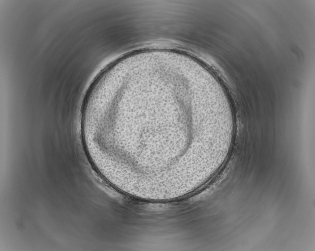 X0000110951232200907171622