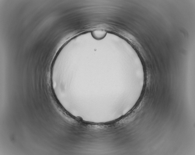 X0000110951234200907171622