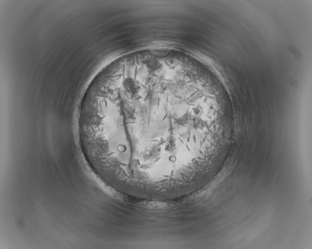 X0000110951235200907171622