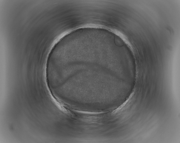 X0000110951237200907171622