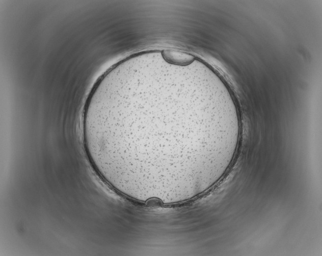 X0000110951238200907171622