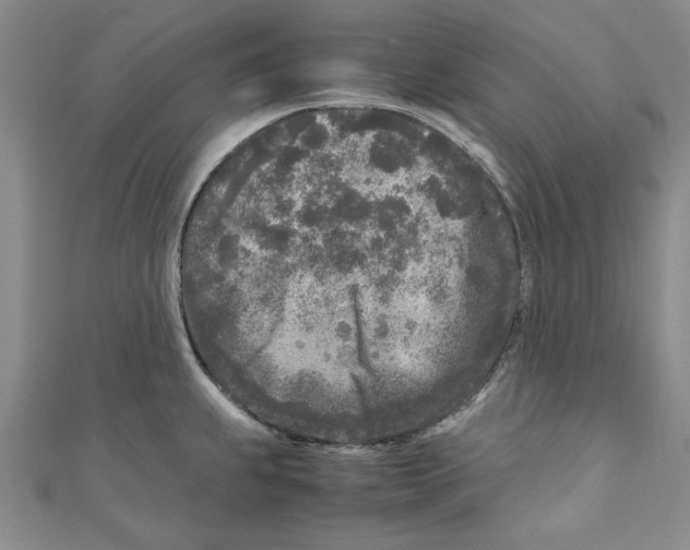 X0000110951239200907171622