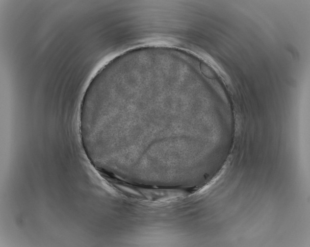 X0000110951240200907171622