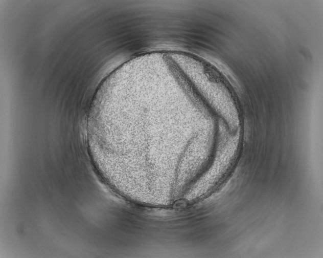 X0000110951241200907171622