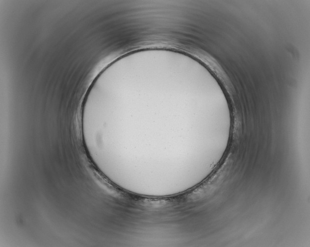 X0000110951242200907171622