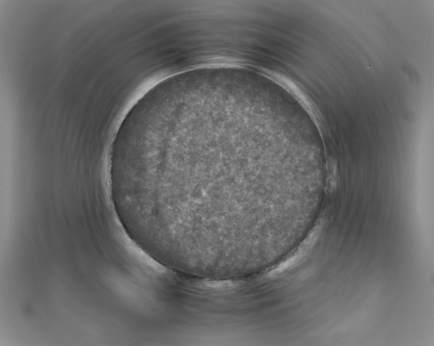 X0000110951243200907171622