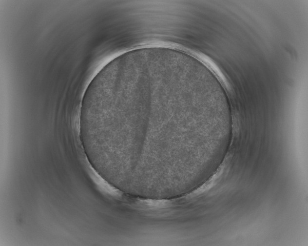 X0000110951244200907171622