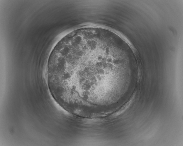X0000110951247200907171622