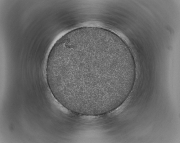 X0000110951248200907171622