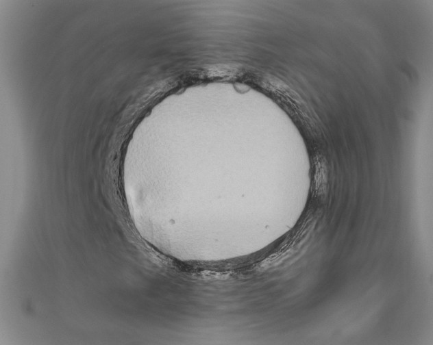 X0000110951249200907171621