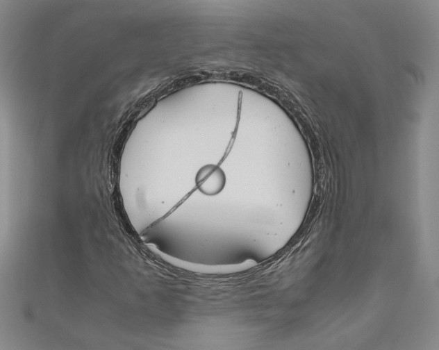 X0000110951253200907171621