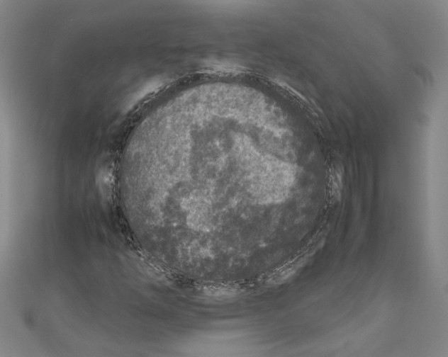 X0000110951254200907171621