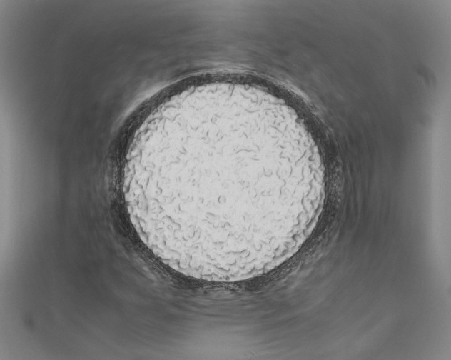 X0000110951255200907171621