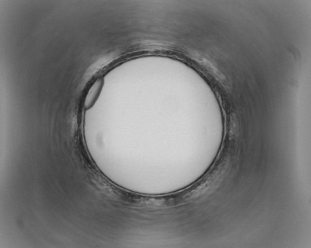X0000110951261200907171621