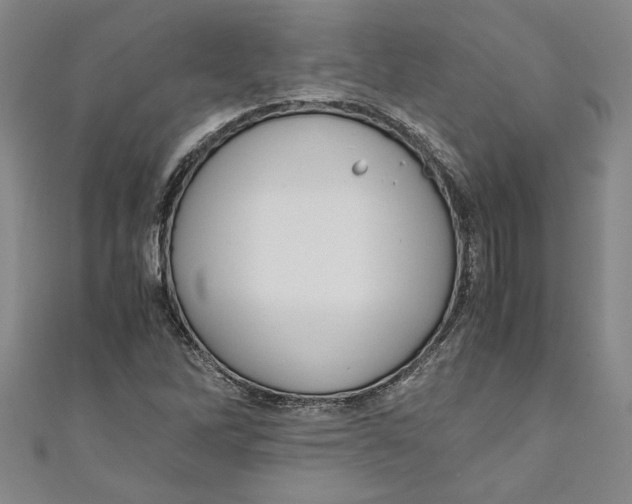 X0000110951262200907171621