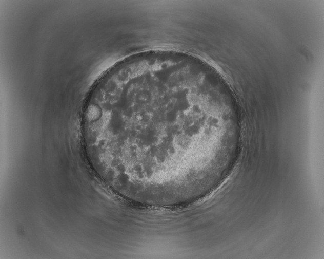 X0000110951263200907171621