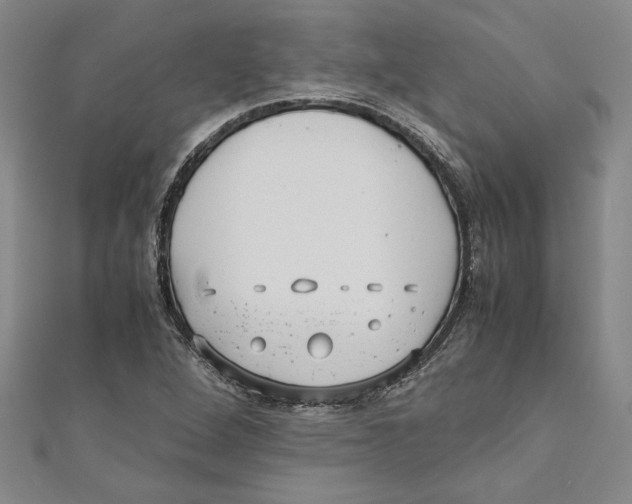 X0000110951264200907171621