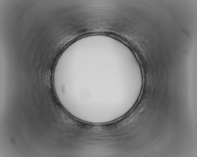 X0000110951265200907171621