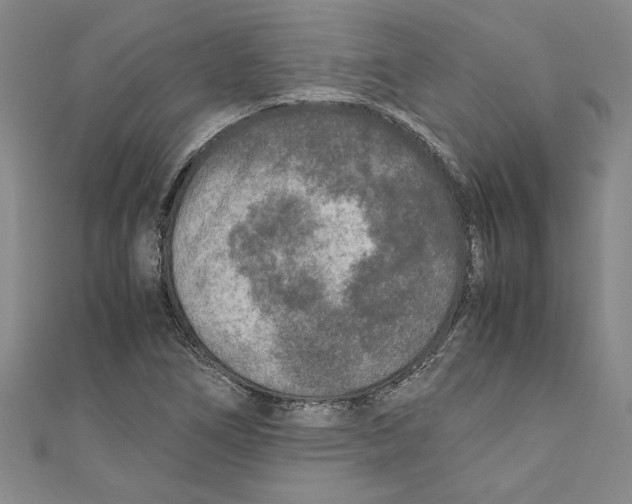 X0000110951266200907171621