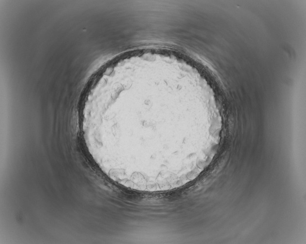 X0000110951267200907171621