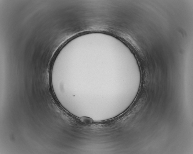 X0000110951268200907171621