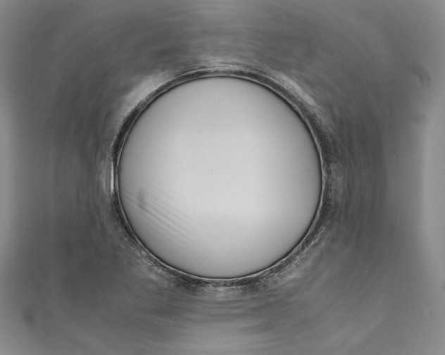 X0000110951269200907171621