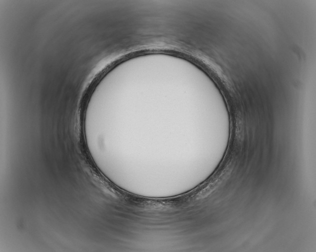X0000110951270200907171621