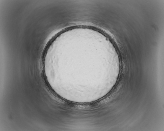 X0000110951271200907171621