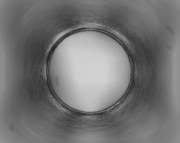 X0000110951272200907171621