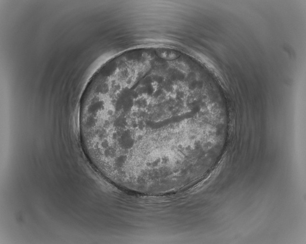 X0000110951275200907171621