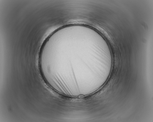 X0000110951277200907171621