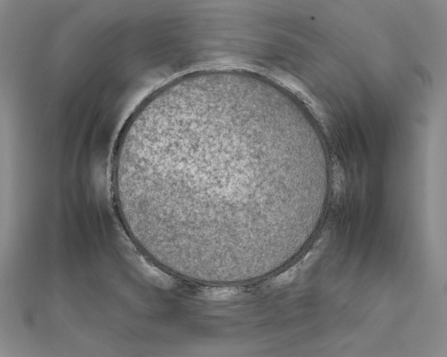 X0000110951278200907171621