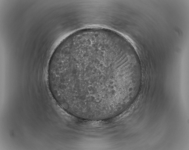 X0000110951279200907171621