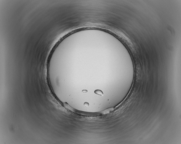 X0000110951280200907171621