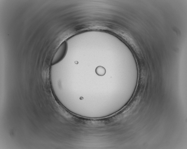 X0000110951281200907171621