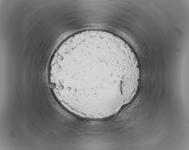 X0000110951283200907171621