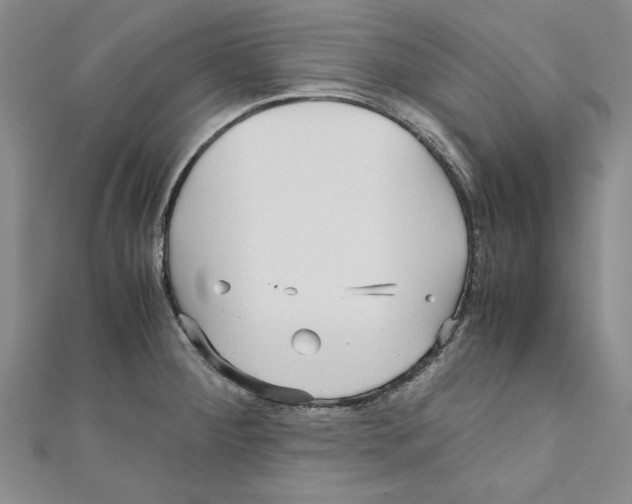 X0000110951284200907171621