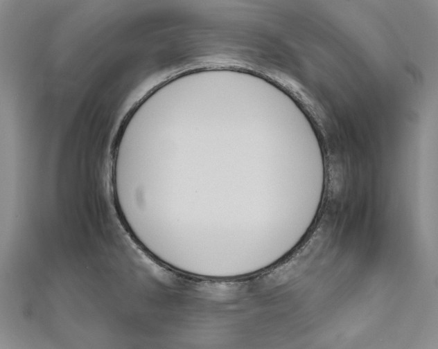 X0000110951286200907171621