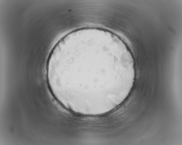 X0000110951287200907171621