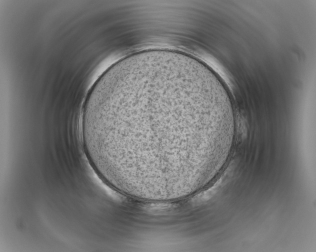 X0000110951290200907171621