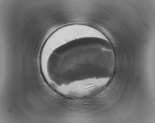 X0000110951291200907171621