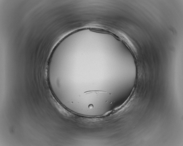 X0000110951292200907171621