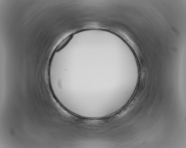 X0000110951293200907171621